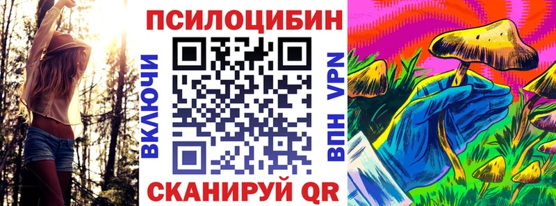 наркошоп  Вольск  Псилоцибиновые грибы ЛСД 