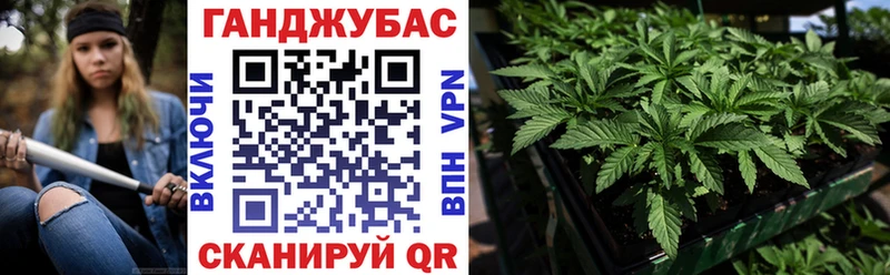 сколько стоит  Вольск  Марихуана индика 